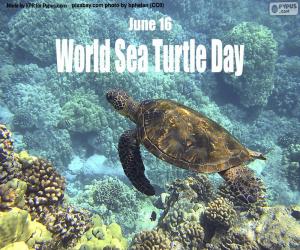 yapboz Dünya Deniz Kaplumbağaları Günü